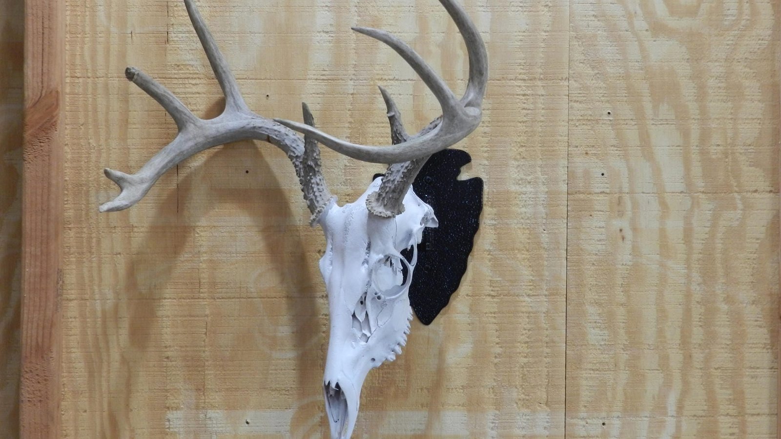 European Mount Deer Skull Hanger Decorative Plaque - Image 6