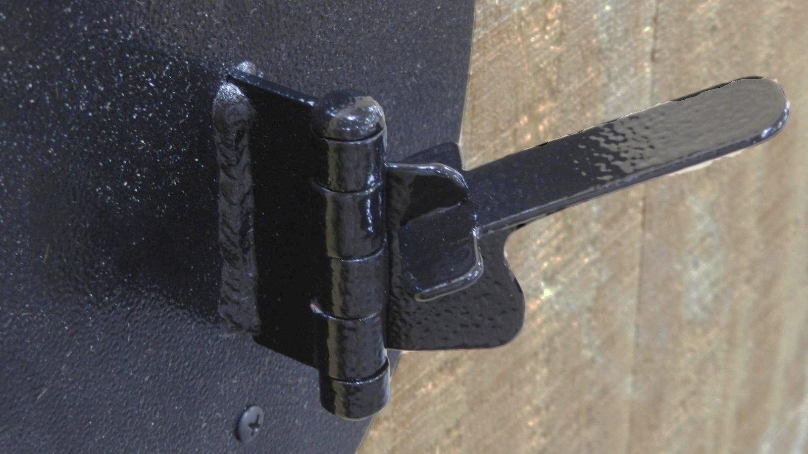 European Mount Deer Skull Hanger Decorative Plaque - Image 13