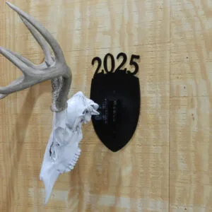 Alternative view of European Mount Deer Skull Hanger Decorative Plaque