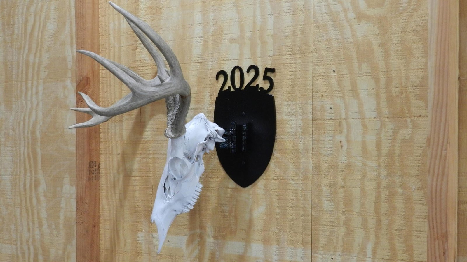 European Mount Deer Skull Hanger Decorative Plaque - Image 2