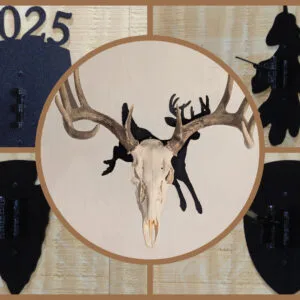 European Mount Deer Skull Hanger Decorative Plaque